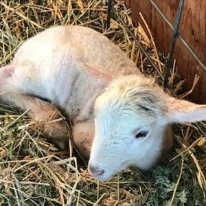 Meet your Posher, Marcie